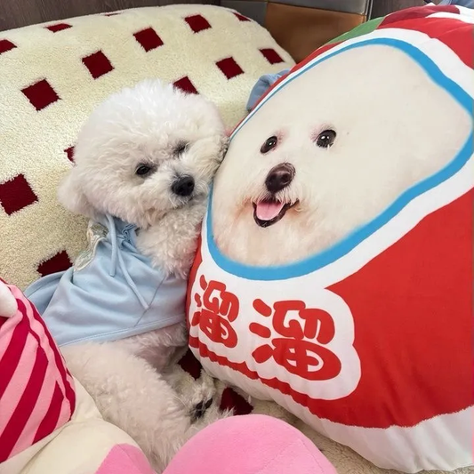 Paw&Co. 寵物客製抱枕
